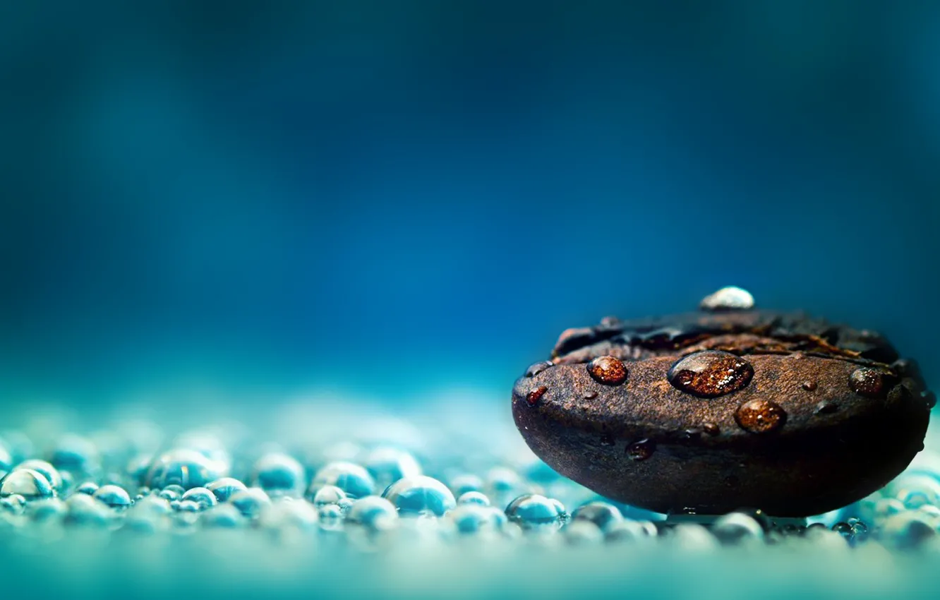 Фото обои minimalistic, coffe, grain, seed