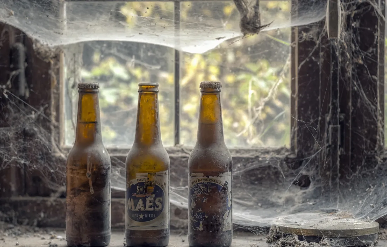 Фото обои пиво, паутина, окно, бутылки