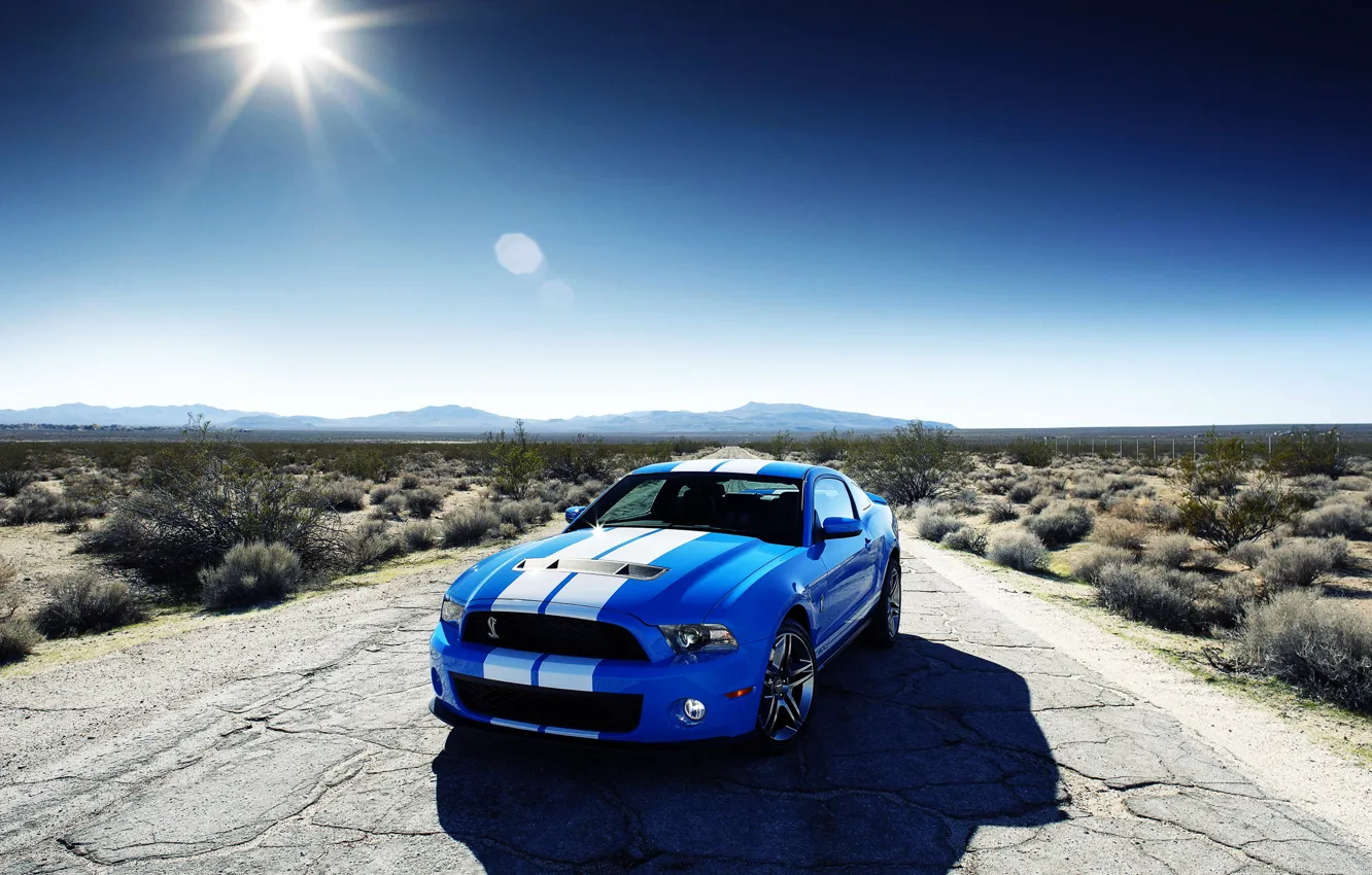 Фото обои синий, Ford, Shelby gt 500