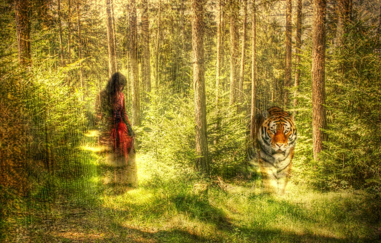 Фото обои лес, девушка, тигр, стиль, текстура