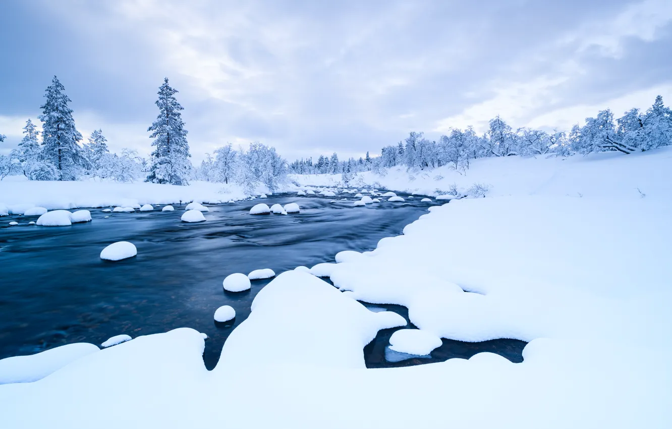 Фото обои зима, снег, деревья, пейзаж, река, forest, river, trees