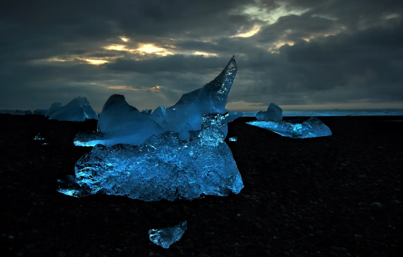 Фото обои макро, ночь, природа, лёд