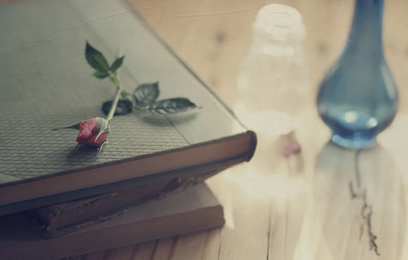 Фото обои цветок, стол, роза, книги, ваза, заломы