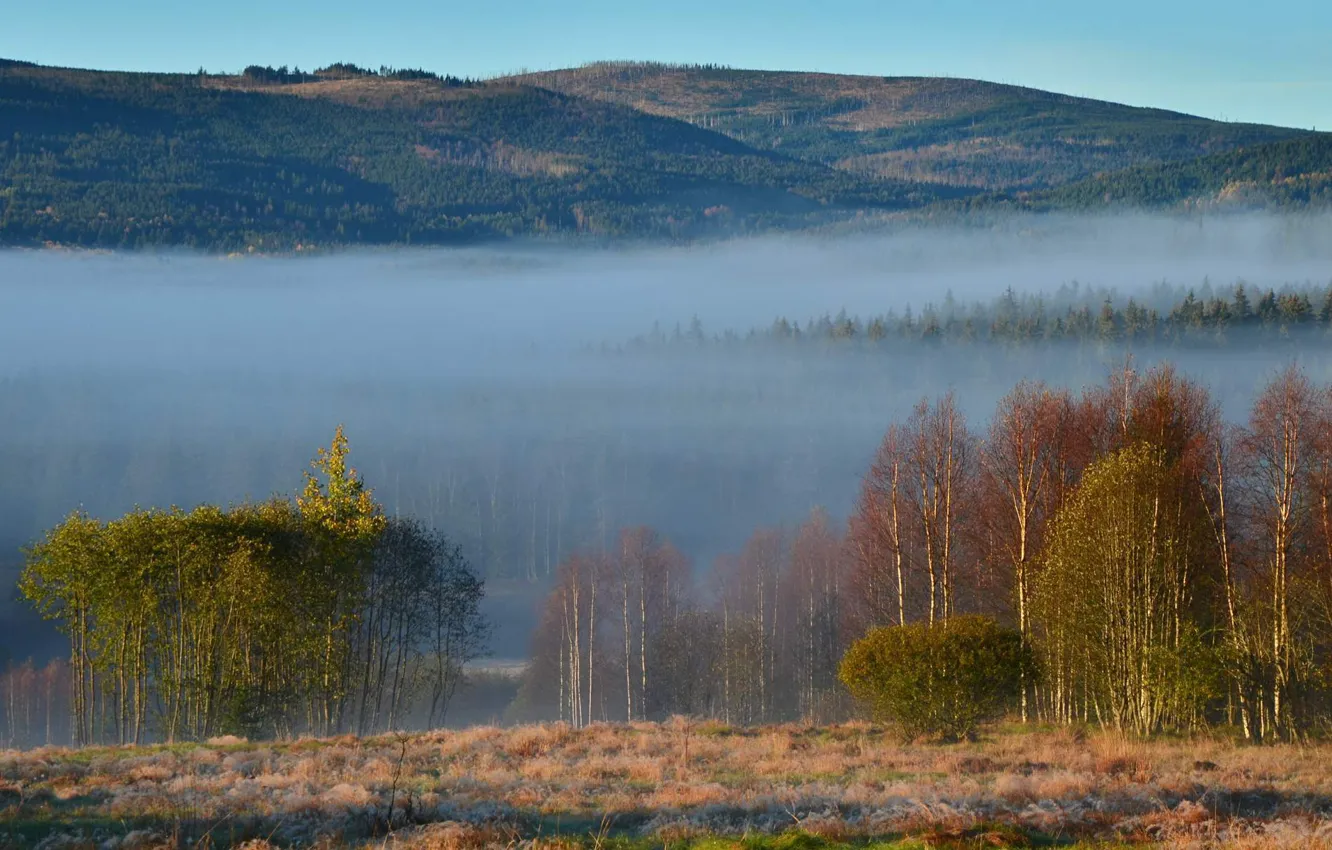 Фото обои лес, горы, природа, туман, Чехия, Шумава, Plesná