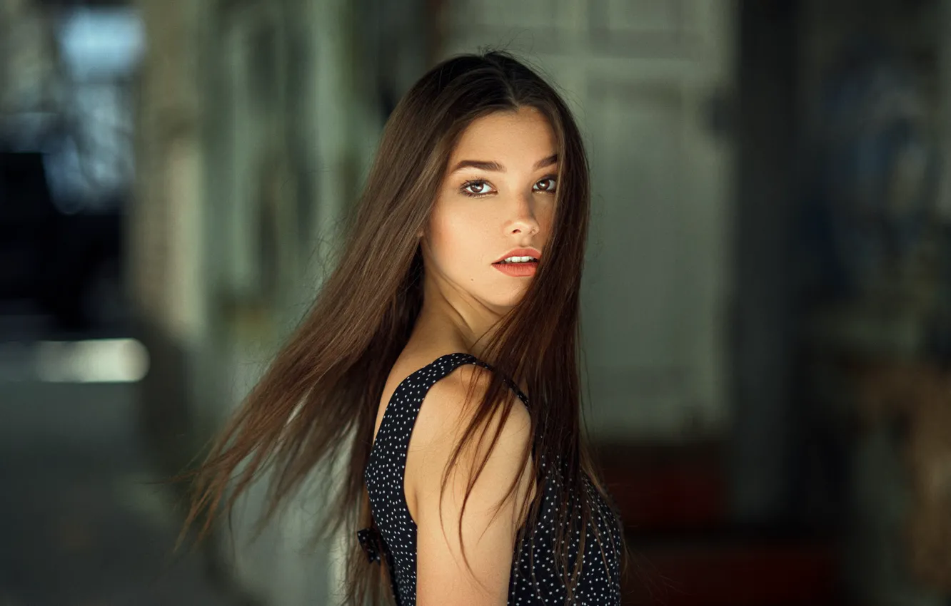Фото обои взгляд, девушка, поза, модель, волосы, платье, брюнетка, боке