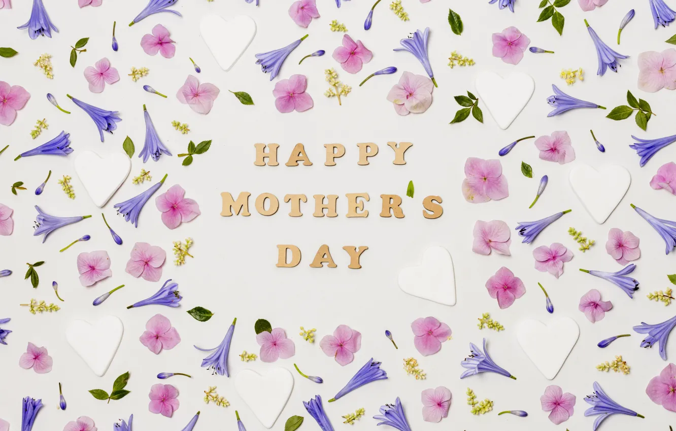 Фото обои цветы, фон, праздник, бутоны, Счастливый, День Матери