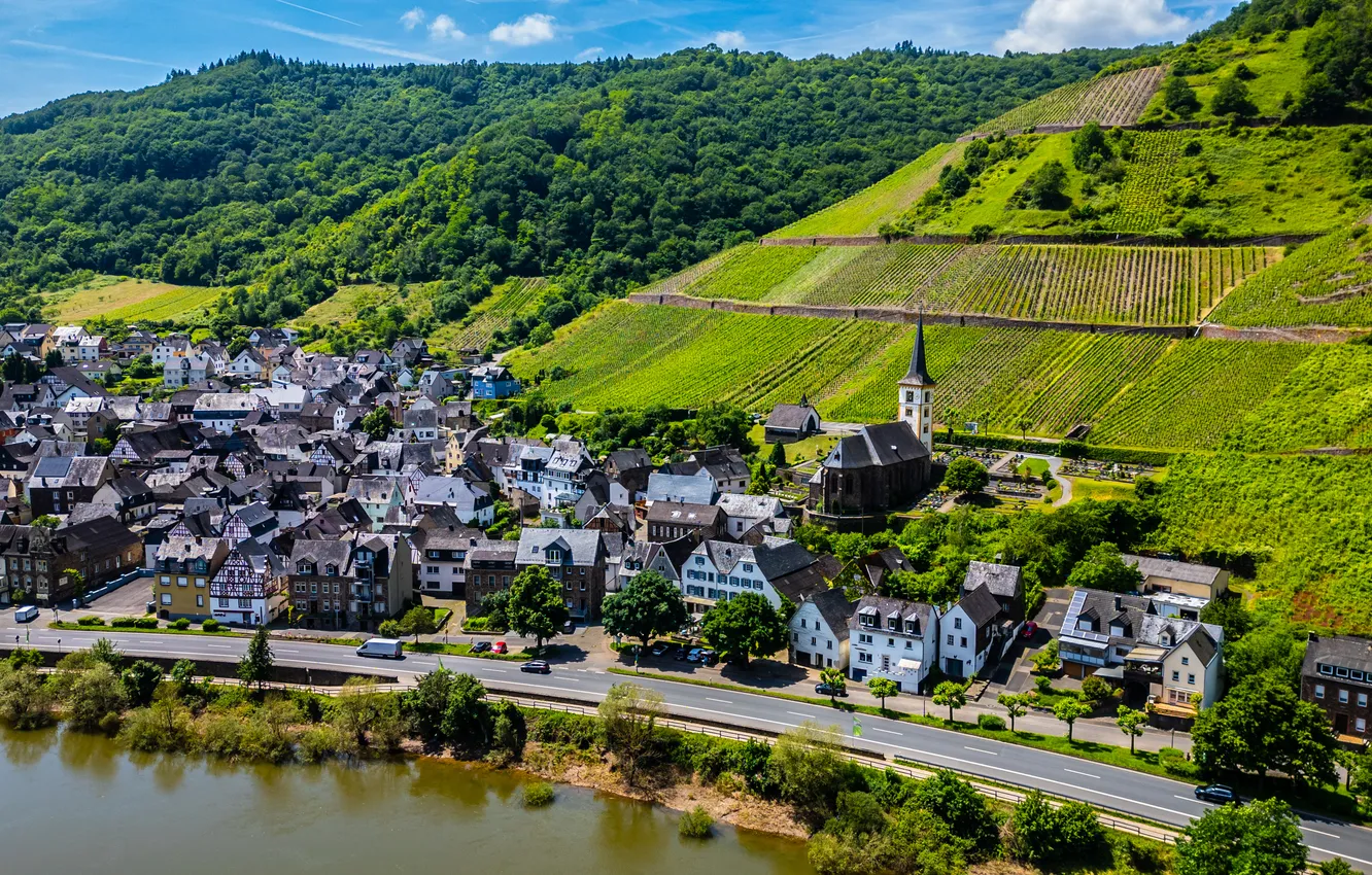 Фото обои здания, Германия, виноградники, Mosel