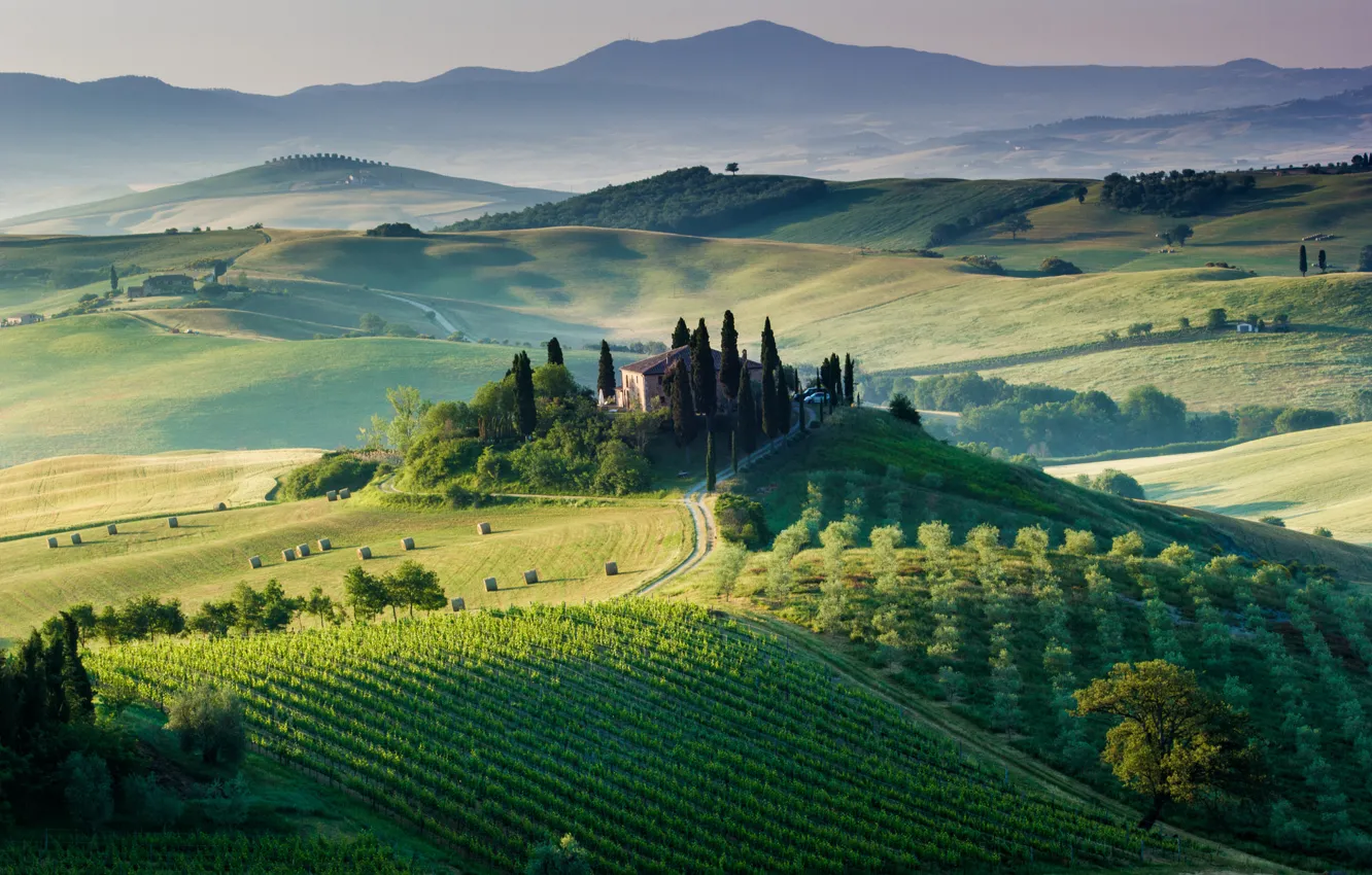 Фото обои деревья, дом, поля, Италия, виноградники, Тоскана