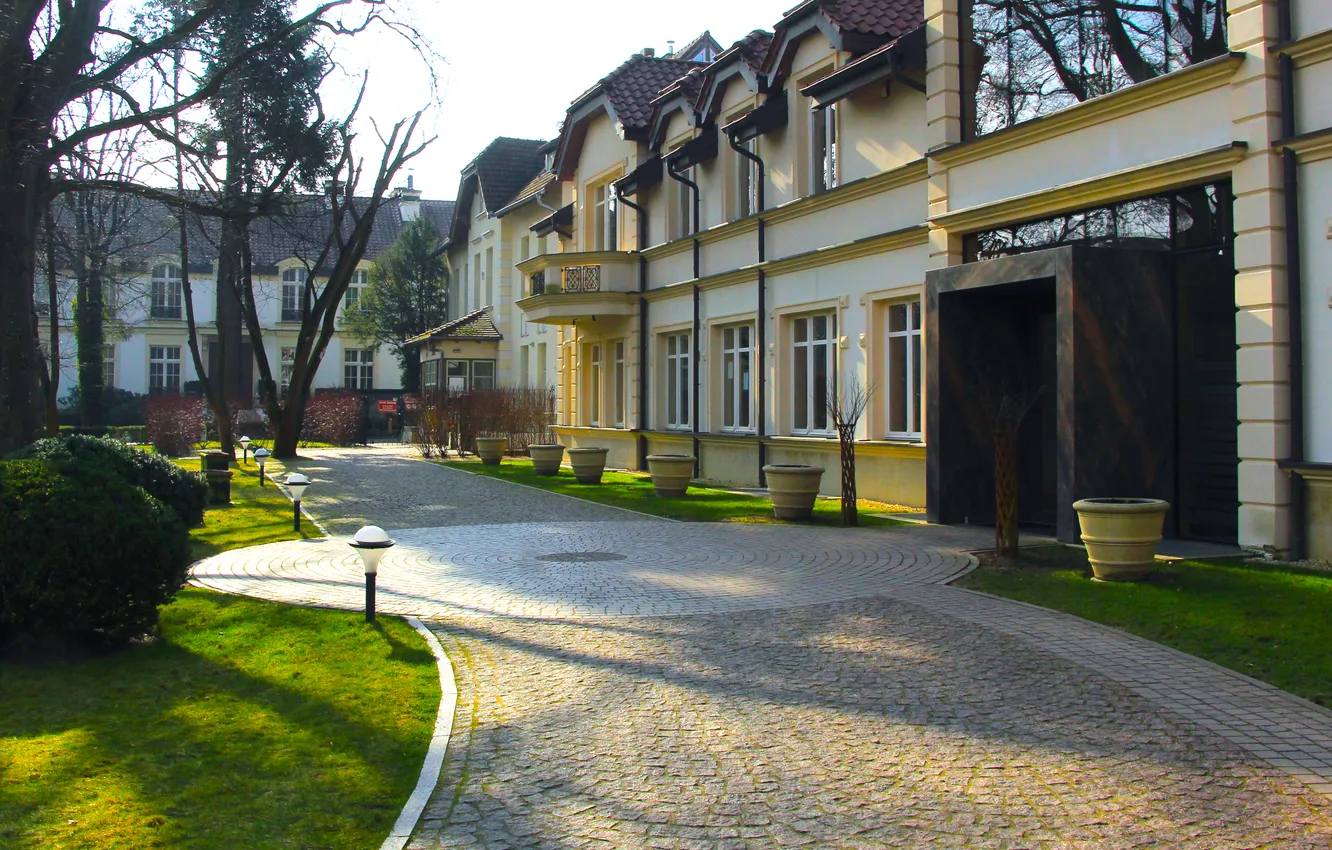 Фото обои park, alley, gouse