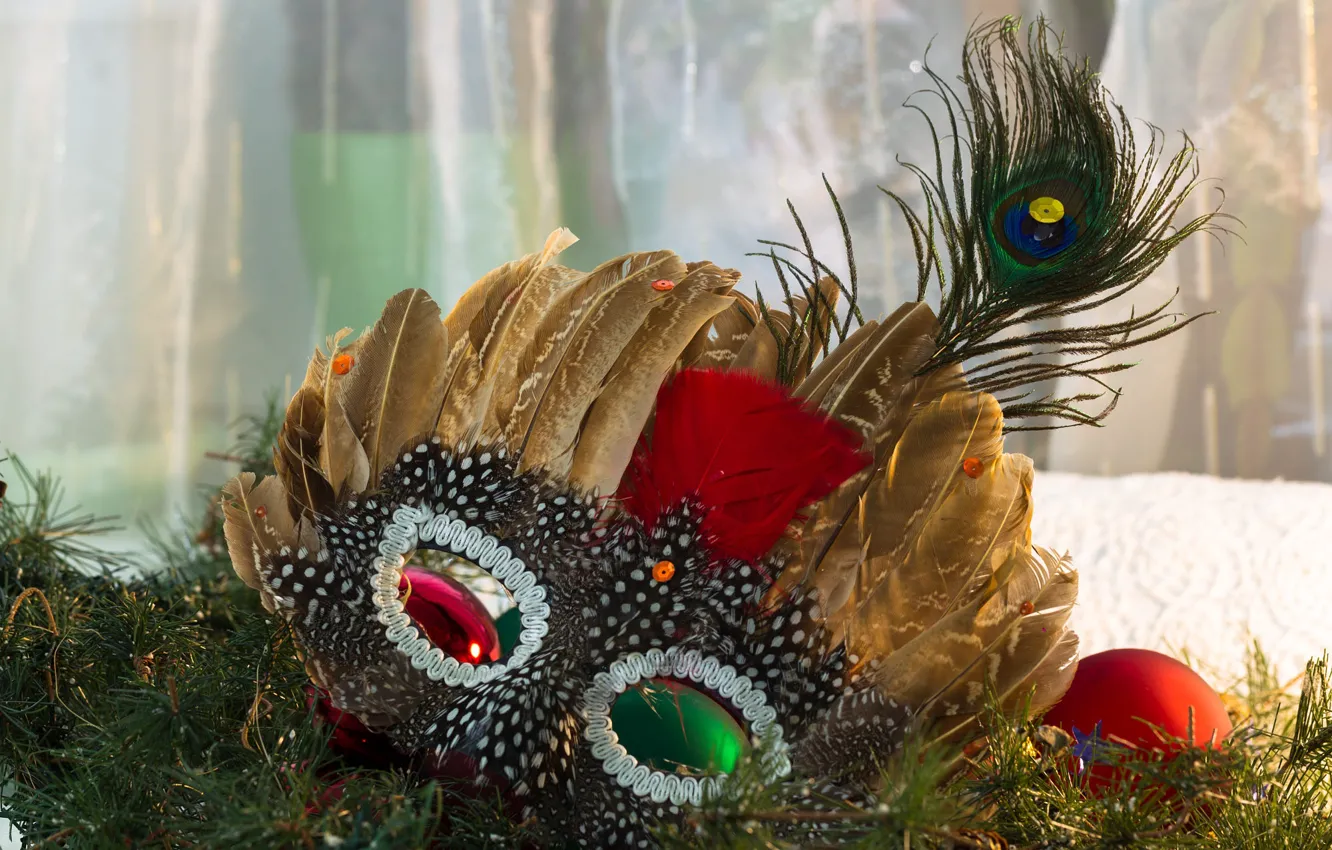 Фото обои зима, ветки, перо, праздник, перья, маска, Рождество, Новый год