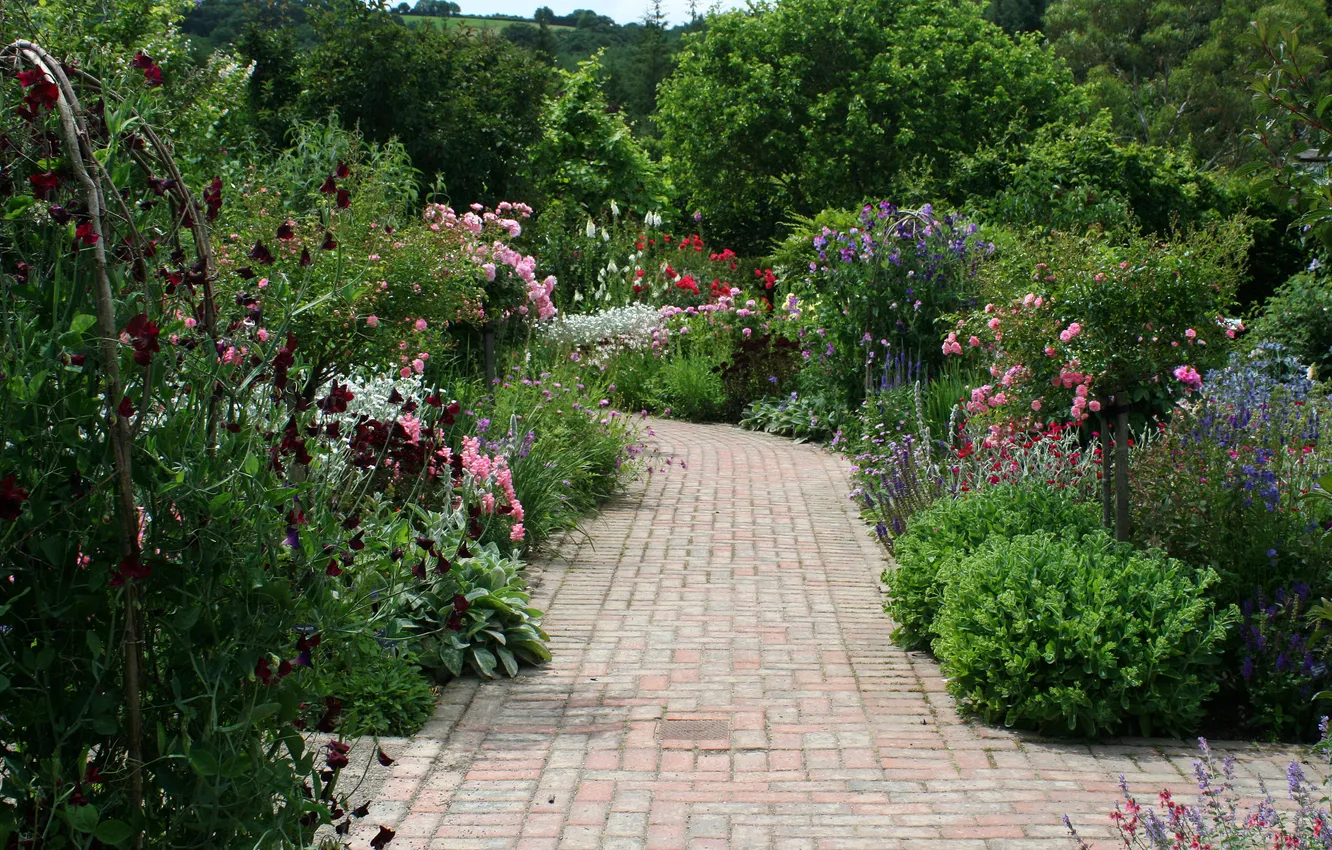 Фото обои зелень, цветы, Англия, сад, дорожка, Devon, кусты, Rosemoor Garden