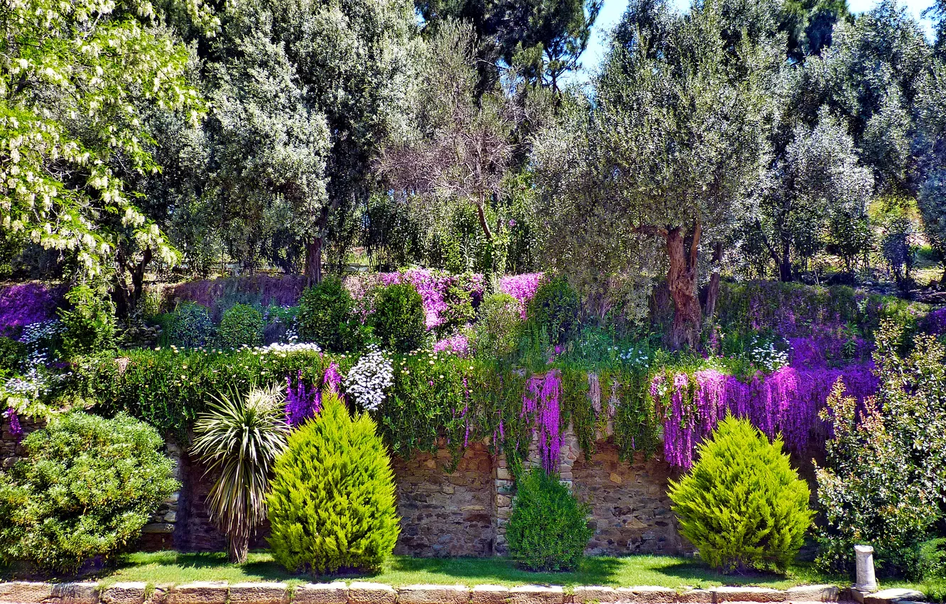 Фото обои деревья, цветы, парк, кусты, Турция, Izmir