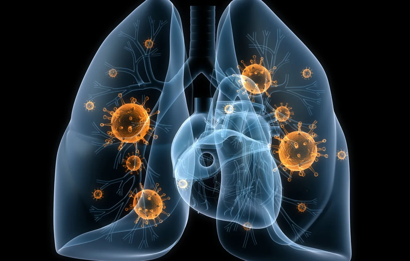 Фото обои disease, lungs, viruses, bacteria