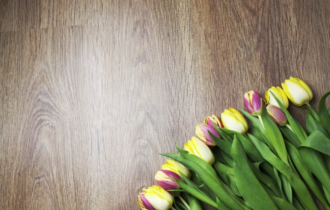 Фото обои тюльпаны, flowers, tulips, bouquet