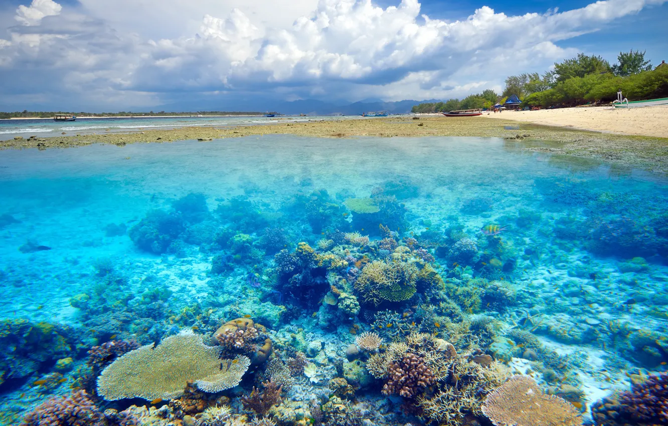 Фото обои вода, тропики, берег, дно, коралловые рифы
