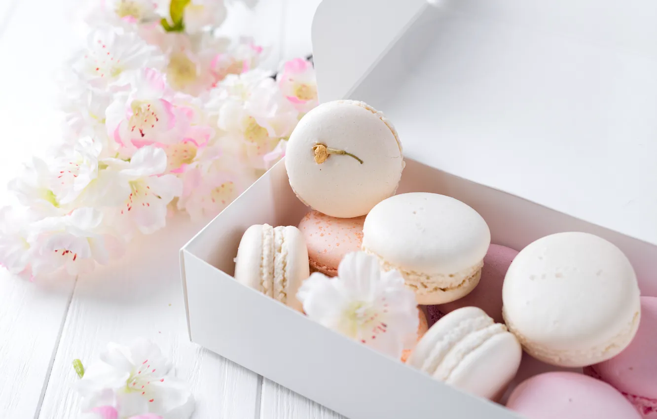 Фото обои white, pink, flowers, french, macaron, pastel, макаруны