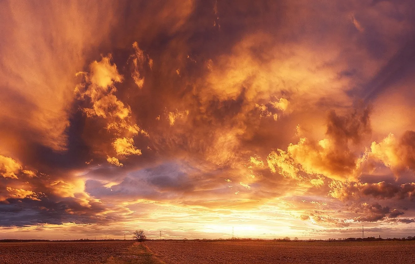 Фото обои поле, небо, облака, закат