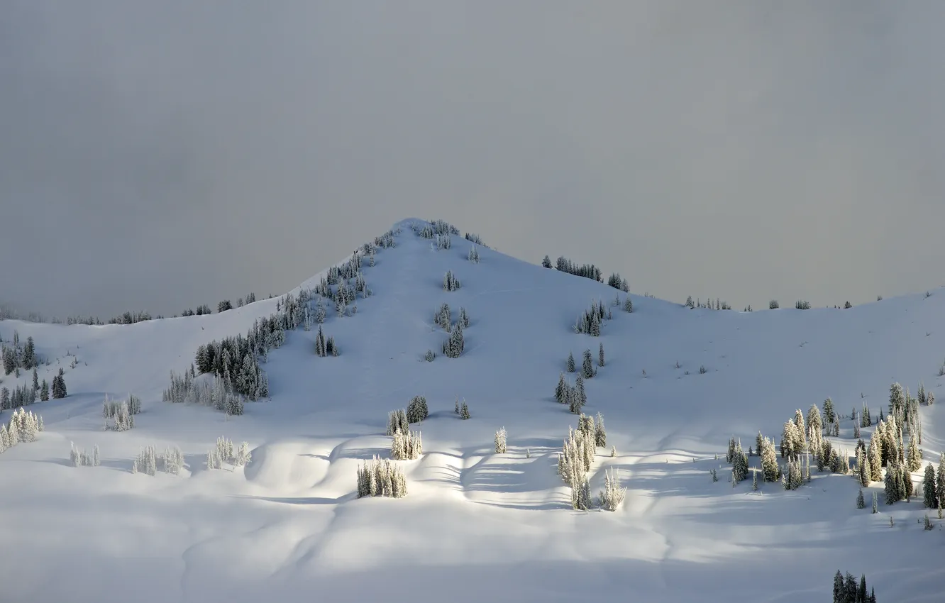 Фото обои зима, снег, деревья, горы, природа, холмы