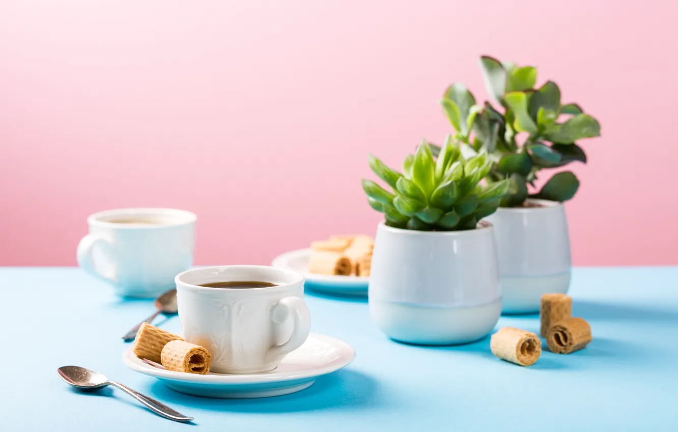 Фото обои кофе, печенье, чашка, Iryna Melnyk