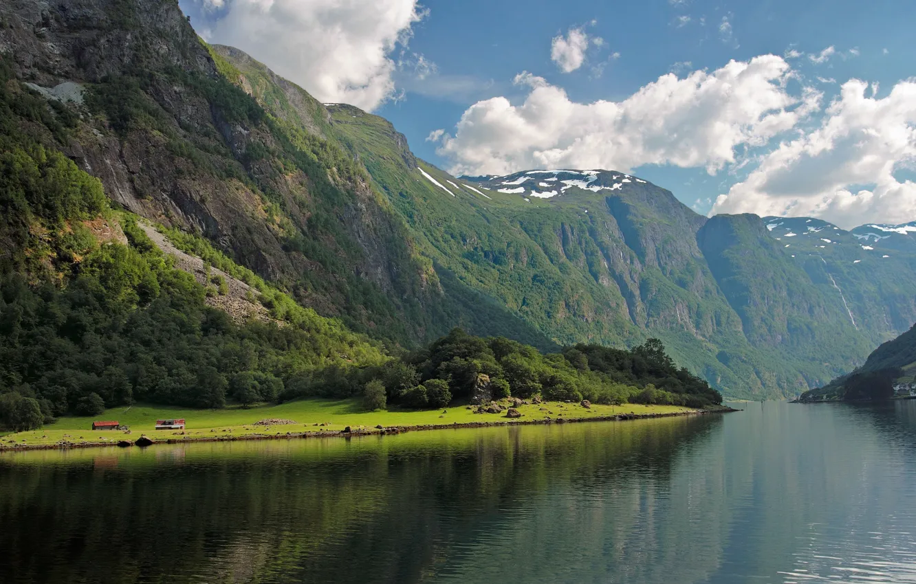 Фото обои скалы, Норвегия, леса, залив Фьорд