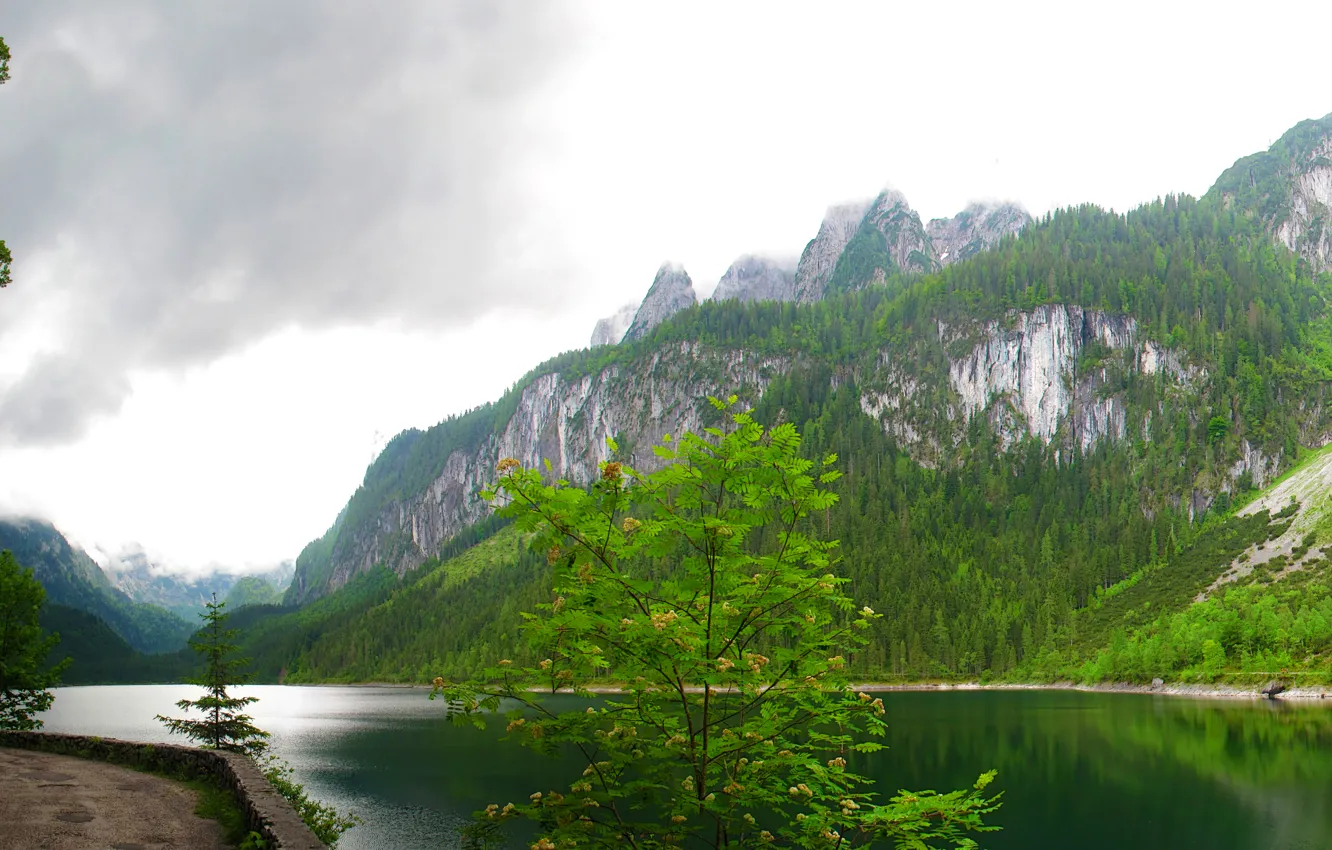 Фото обои лес, облака, деревья, горы, озеро, скалы, Австрия, Gosausee
