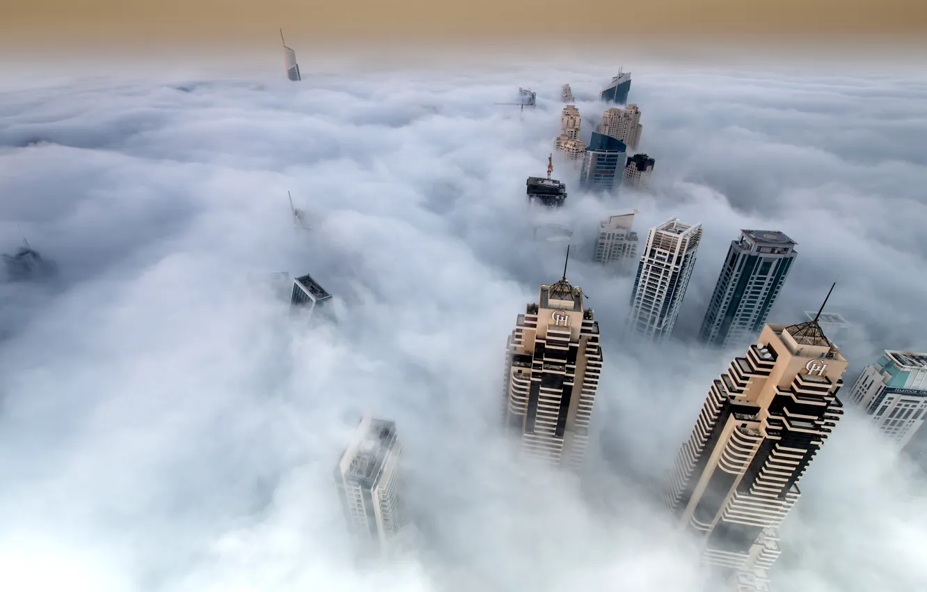 Фото обои туман, небоскребы, Город, густой