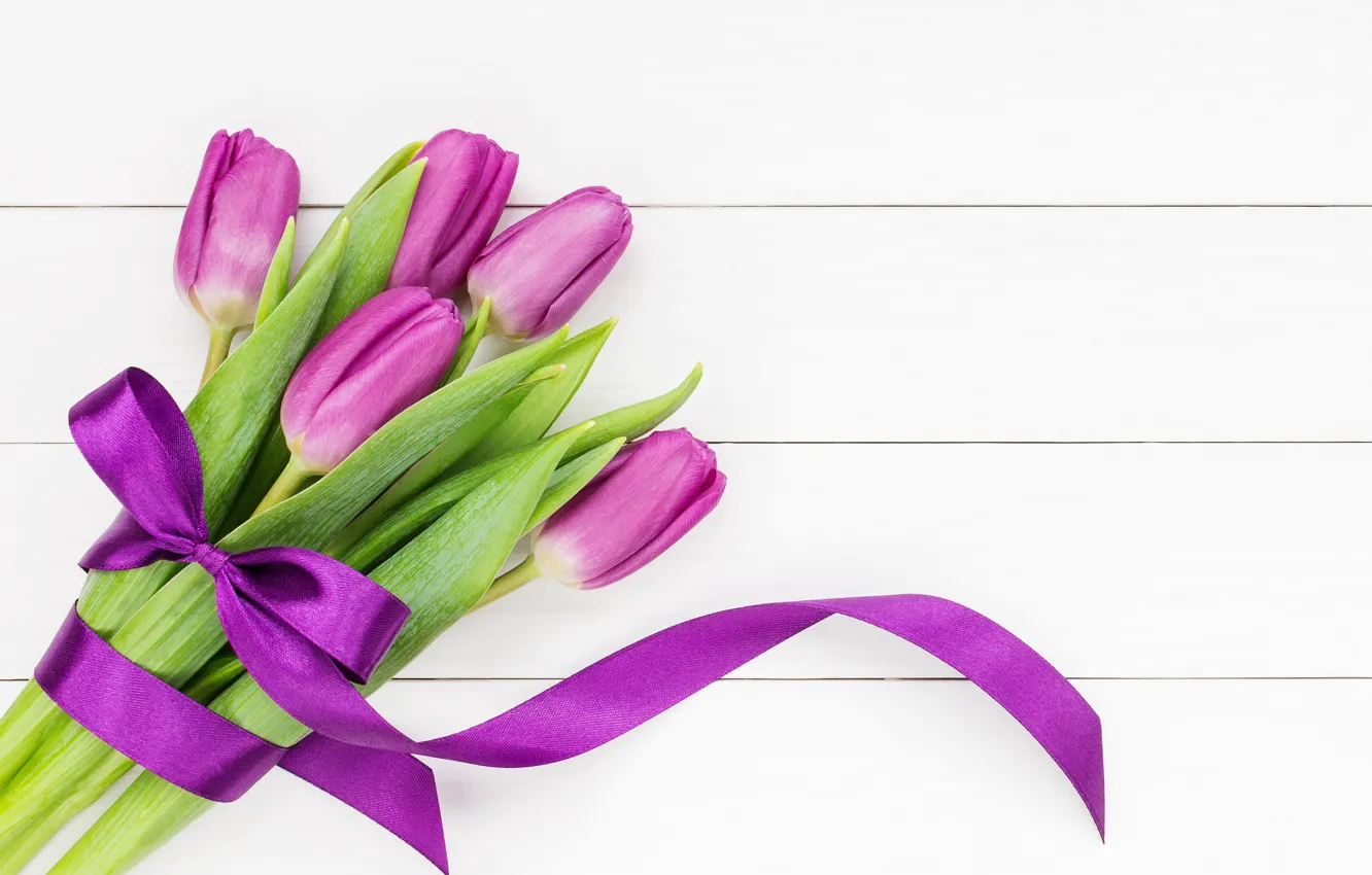 Фото обои цветы, букет, лента, тюльпаны, flowers, tulips, purple