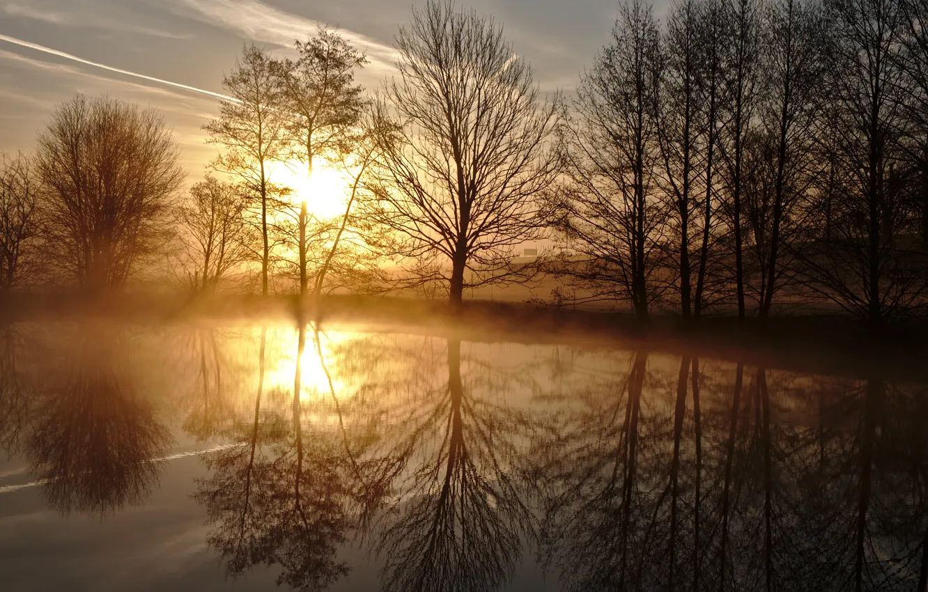 Фото обои деревья, пруд, отражение, восход, рассвет, весна, утро