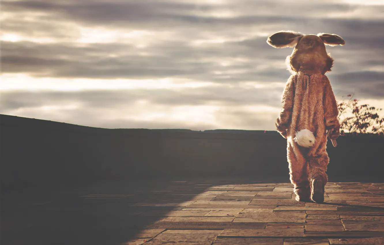 Фото обои грусть, одиночество, фото, заяц, кролик, костюм