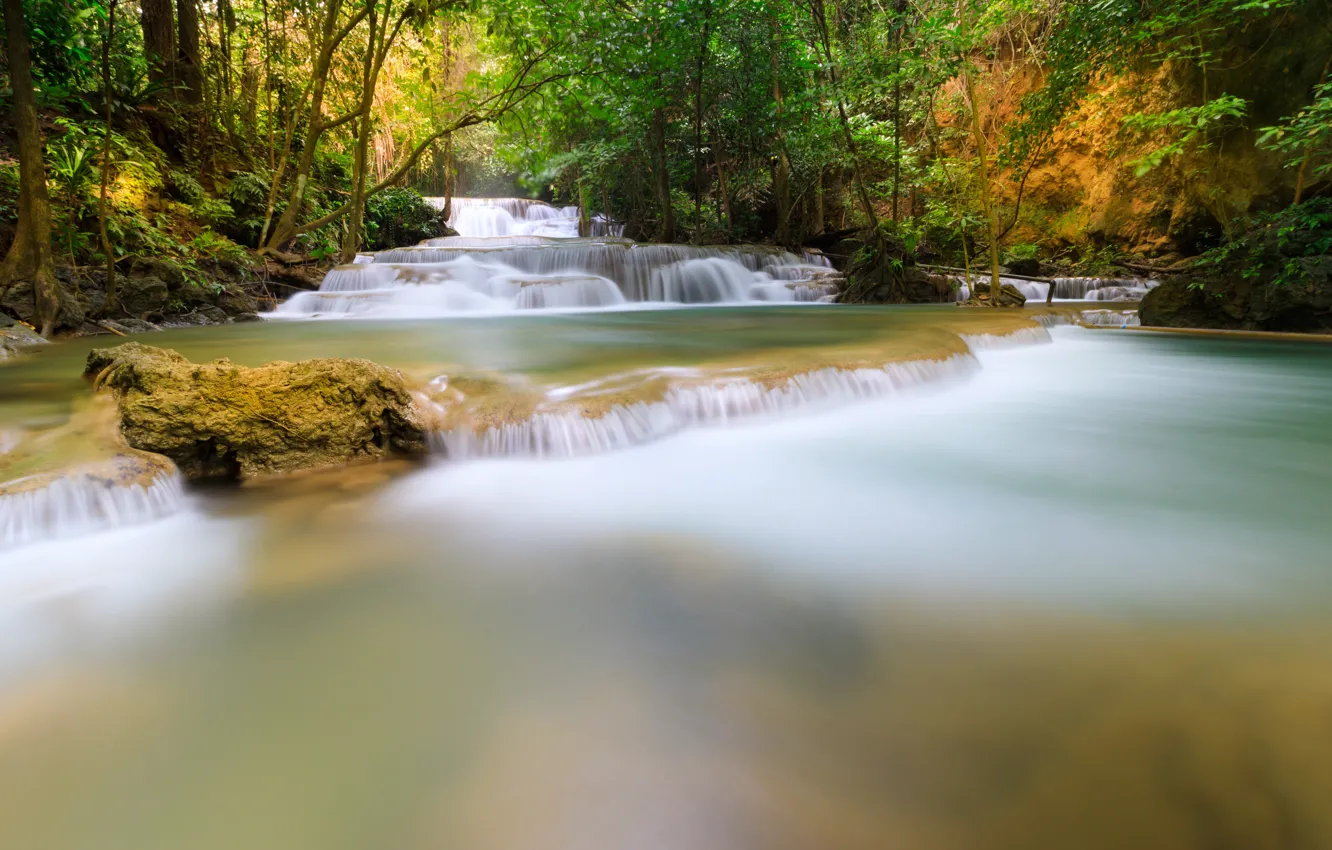 Фото обои лес, пейзаж, река, скалы, водопад, summer, forest, тропический
