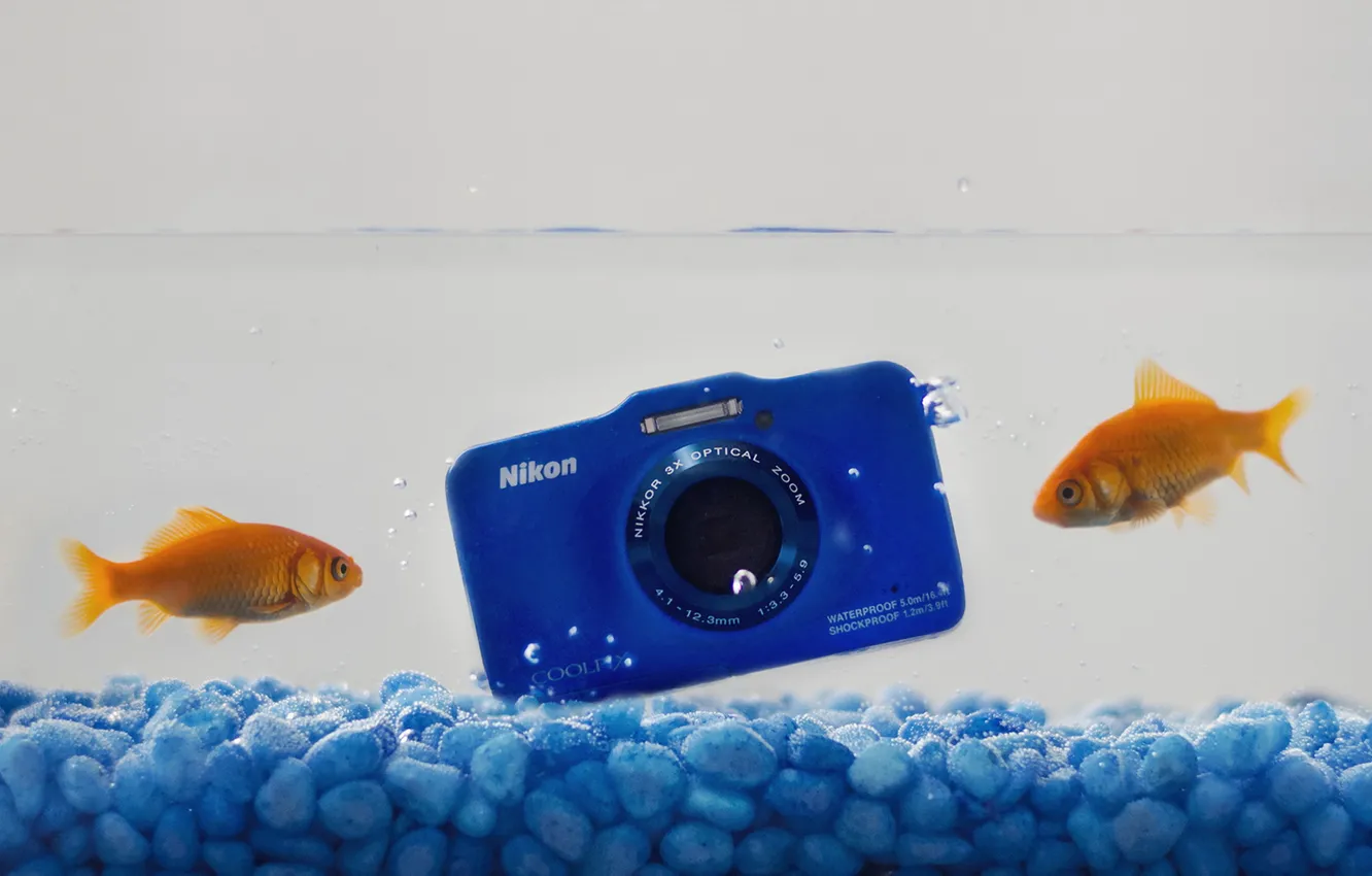 Фото обои вода, рыбки, камера, Nikon