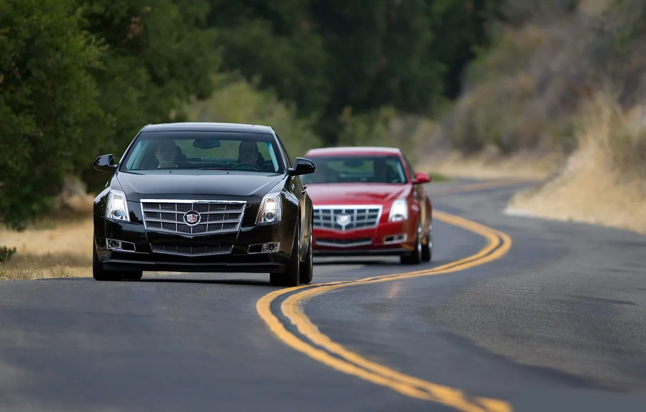 Фото обои дорога, деревья, тачки, road, trees, cadillac, путь cars