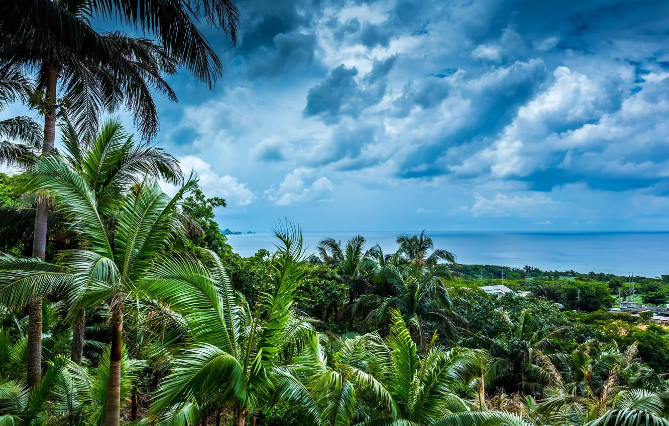 Фото обои небо, облака, пейзаж, пальмы, Japan, Okinawa