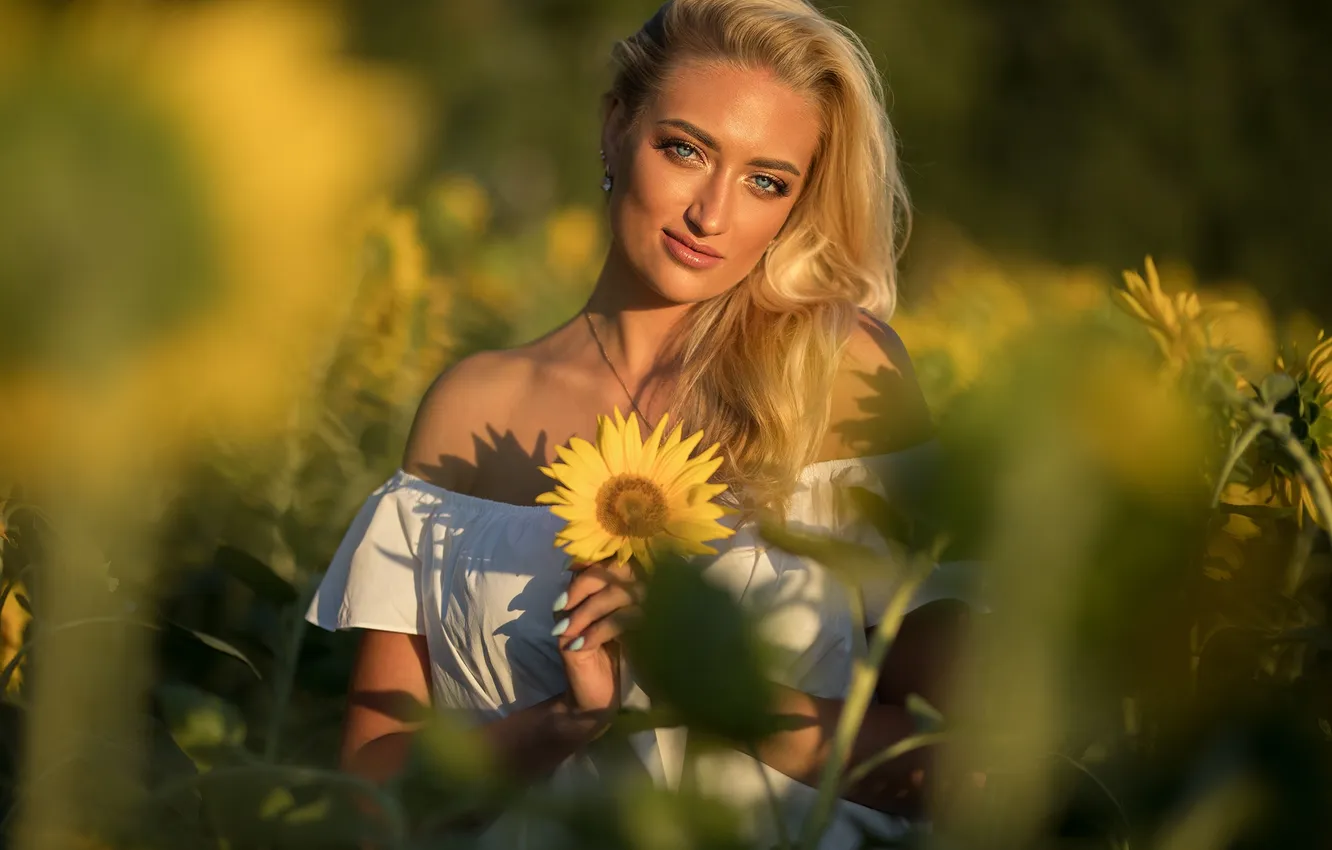 Фото обои девушка, милая, модель, Поле, блондинка, Обои, Портрет, Подсолнухи