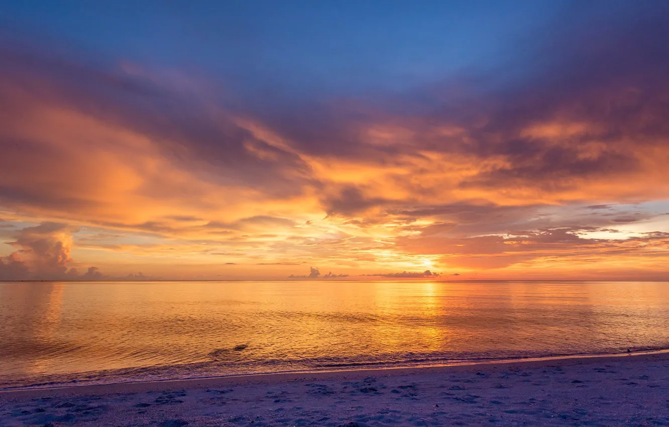 Фото обои USA, beach, twilight, sky, sea, landscape, nature, sunset