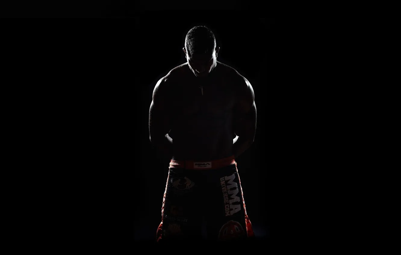 Фото обои MMA, Alistair Overeem, K-1