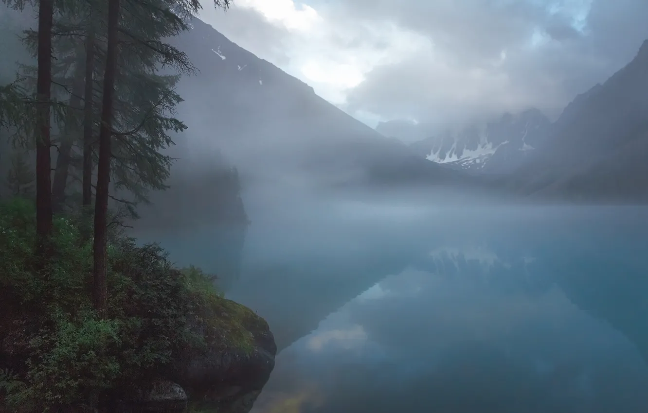 Фото обои вода, деревья, туман, озеро, сумрак, вечер, сумерки