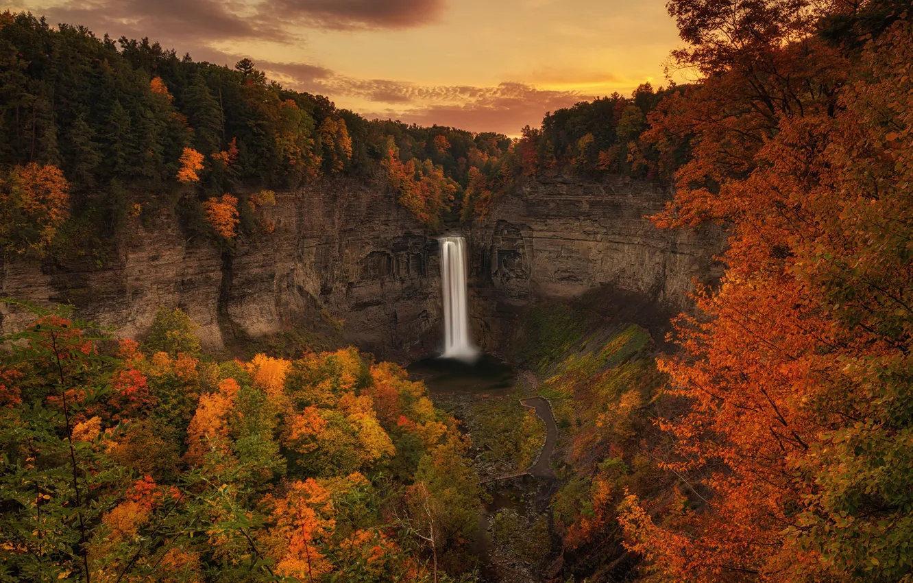 Фото обои forest, twilight, river, sunset, autumn, waterfall, dusk, autumn colors