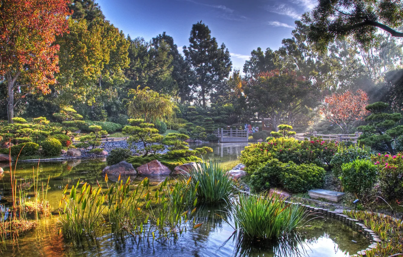 Фото обои пруд, Япония, японский сад