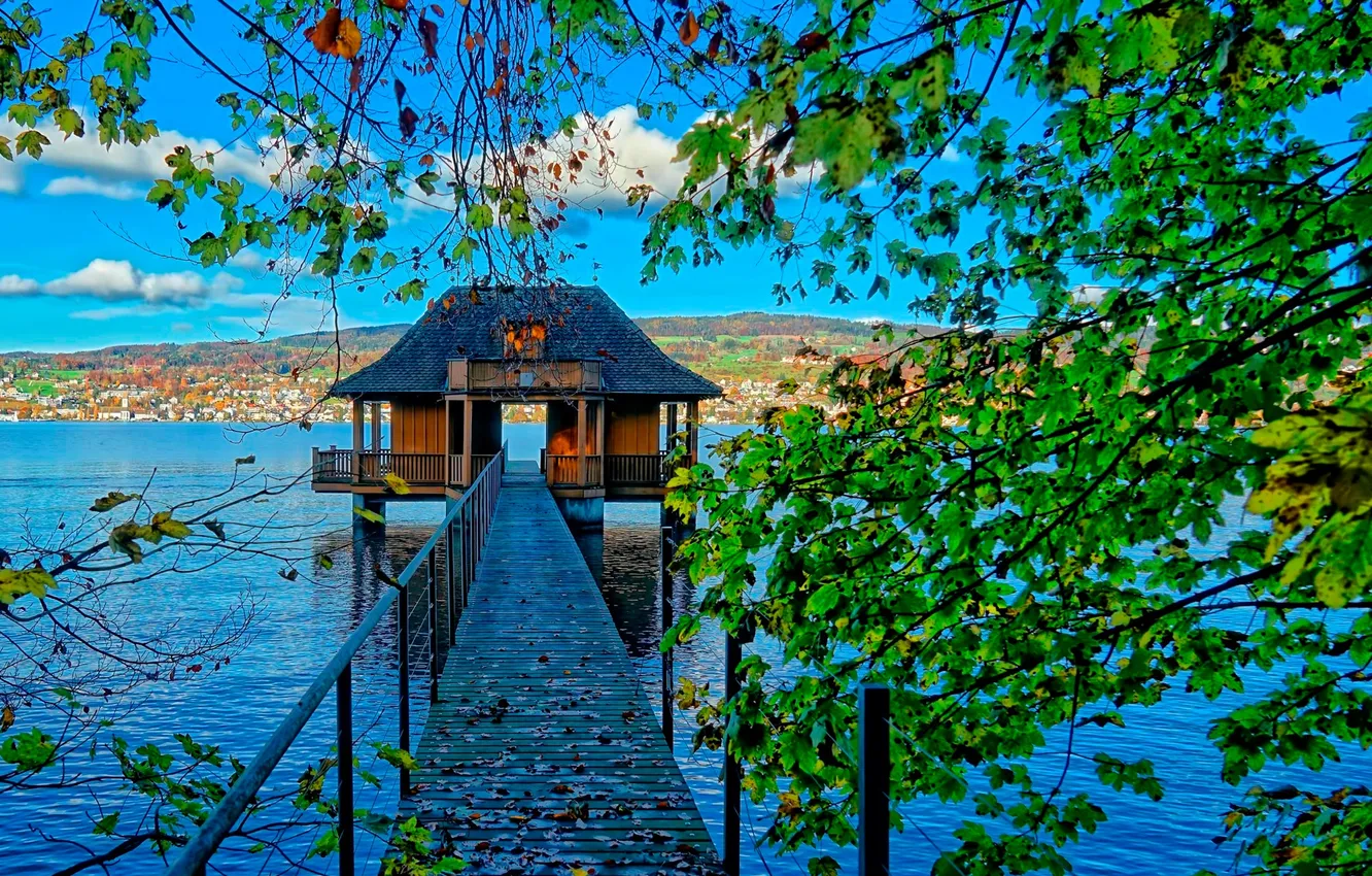 Фото обои листья, природа, озеро, лодочный домик