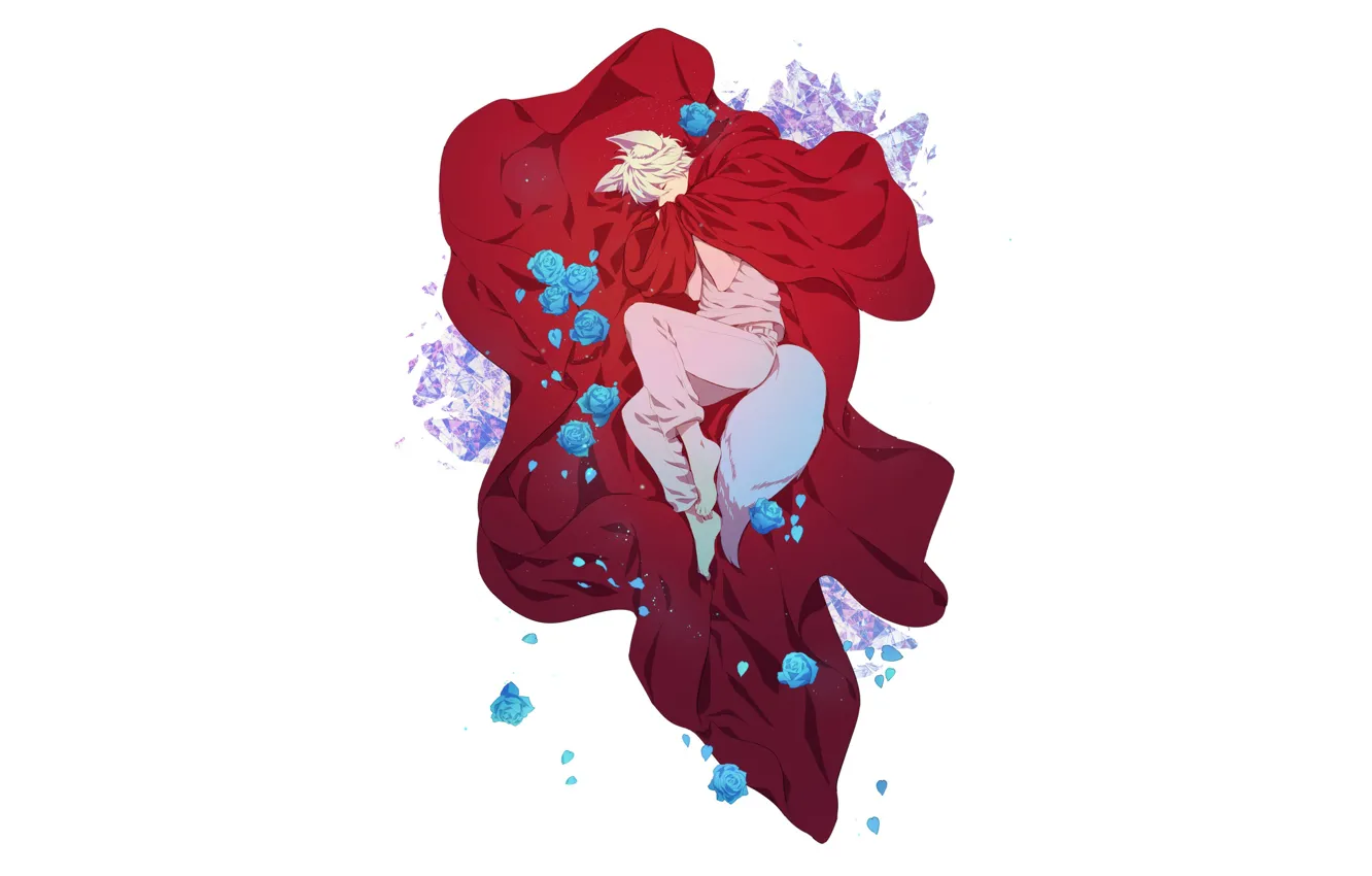 Фото обои розы, спит, ткань, парень, by kiborik