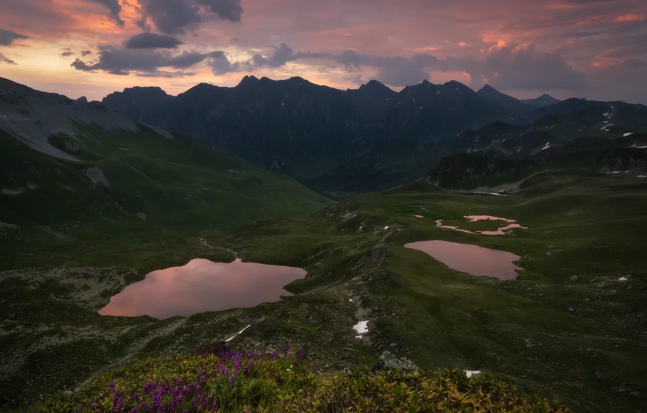 Фото обои цветы, горы, озеро