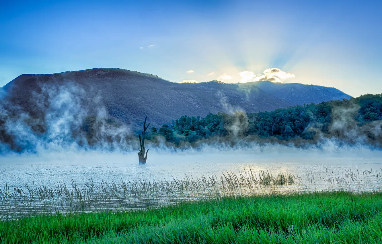 Фото обои трава, горы, туман, озеро, рассвет