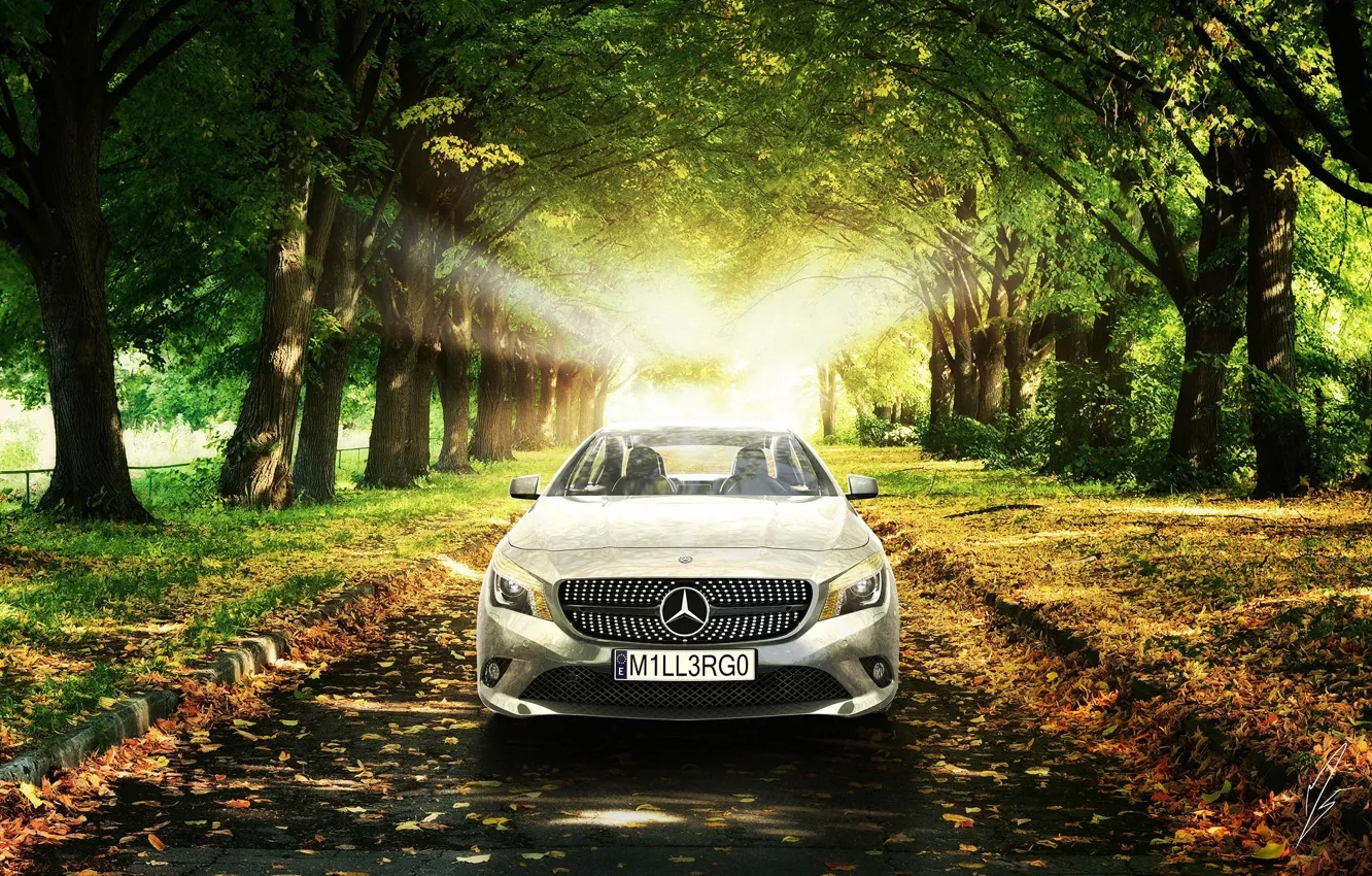 Фото обои Mercedes-Benz, Солнце, Трава, Деревья, Листья, Car, Grass, Автомобиль