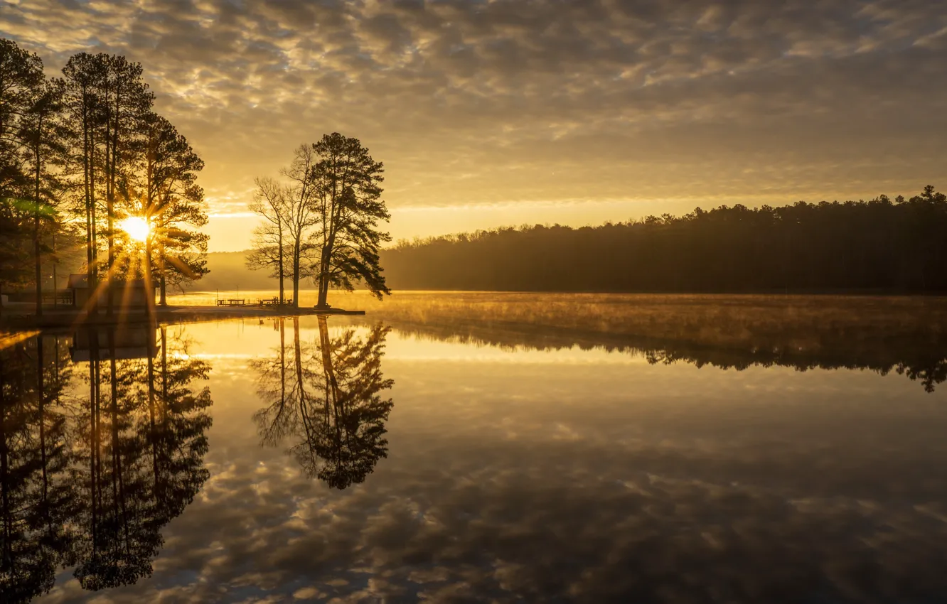 Фото обои деревья, озеро, отражение, рассвет, утро, Tennessee, Теннесси, Natchez Trace State Park