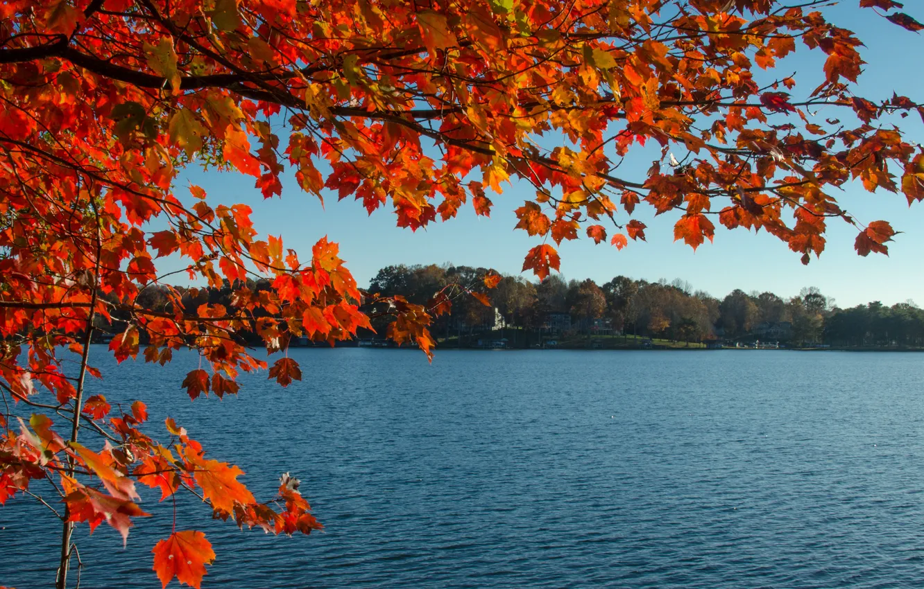 Фото обои осень, небо, листья, ветки, озеро, дом, багрянец