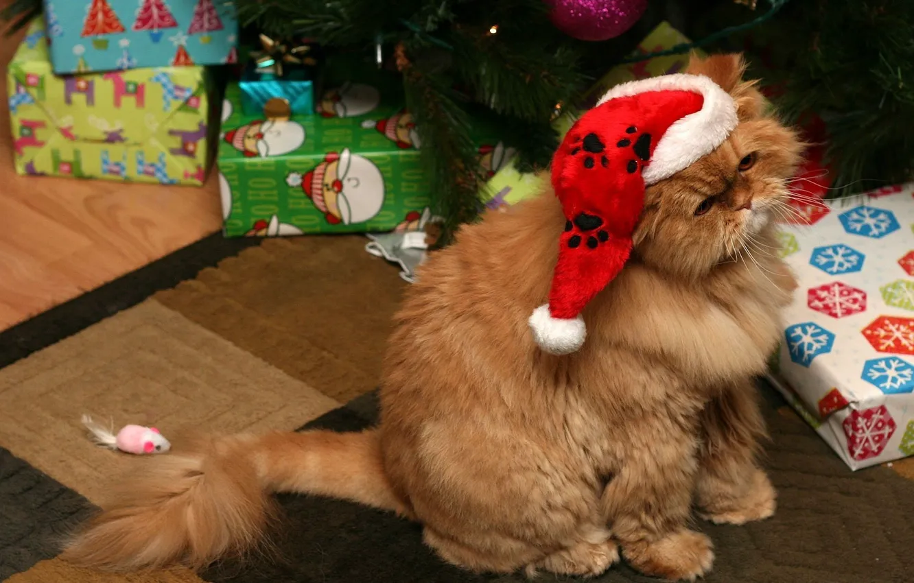 Фото обои кошка, кот, праздник, игрушка, елка, новый год, мышка, подарки
