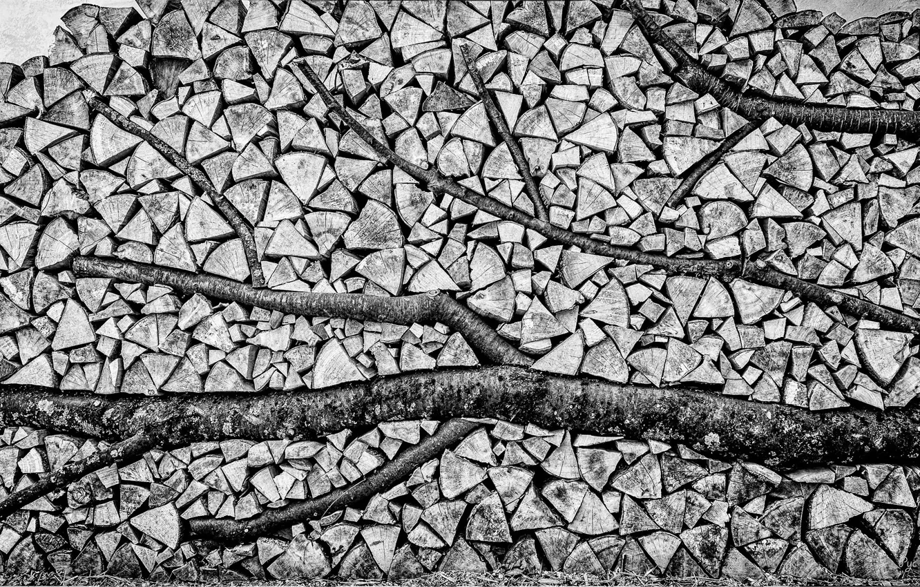 Фото обои текстура, дрова, чёрно - белая