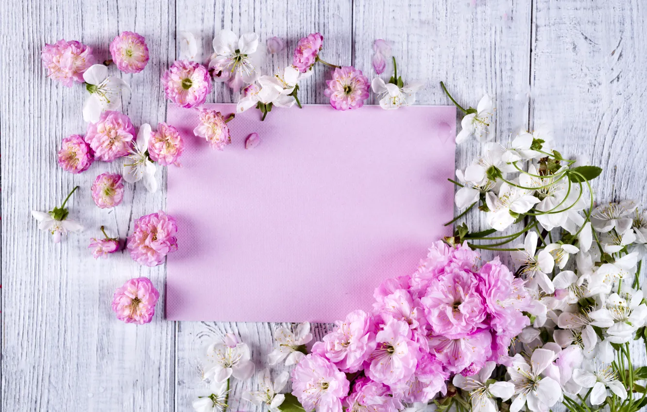 Фото обои цветы, розовые, wood, pink, flowers, beautiful, tender, frame
