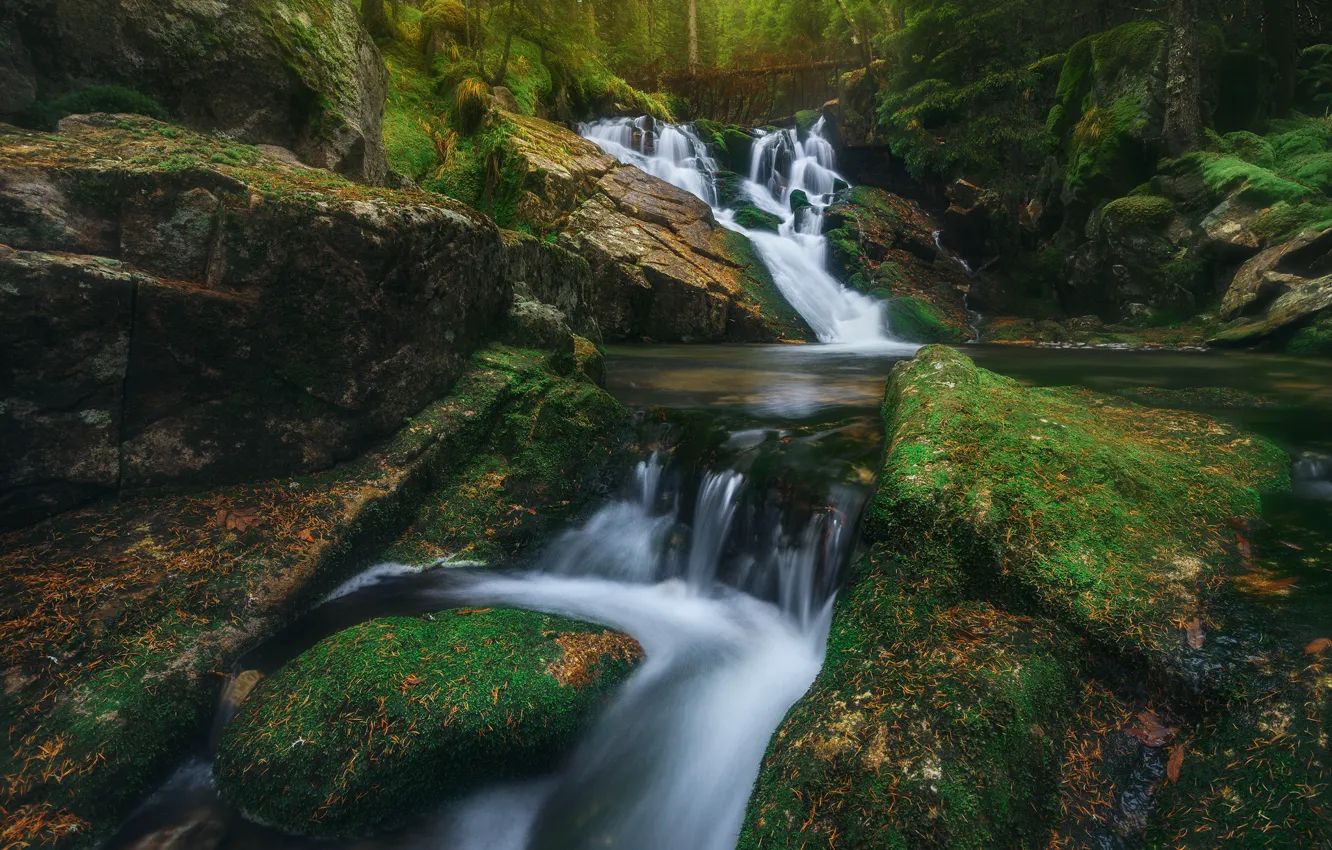 Фото обои река, камни, водопад, мох, каскад